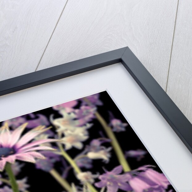 Meadow flowers by Assaf Frank